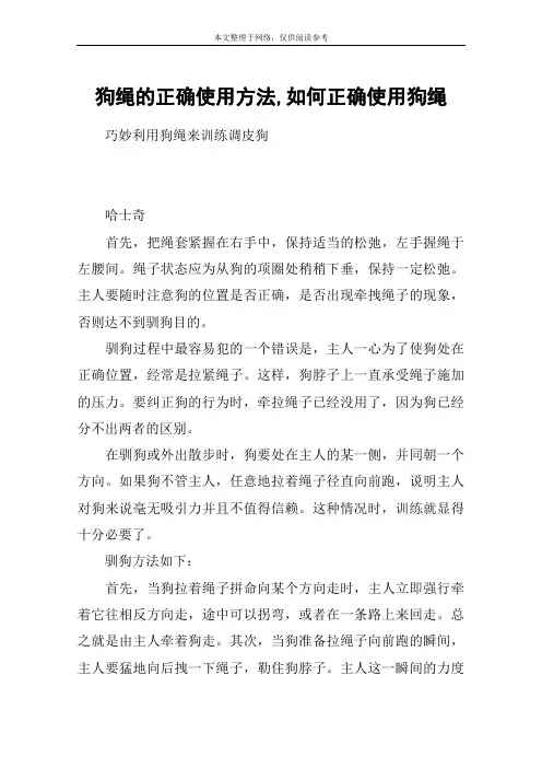 狗绳的正确使用方法,如何正确使用狗绳