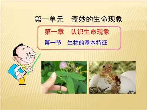 济南版生物七年级上第一节《生物的基本特征》ppt课件