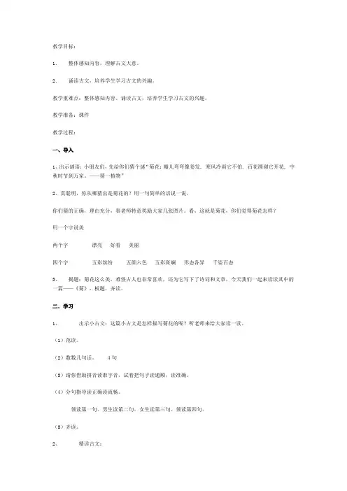 小古文菊