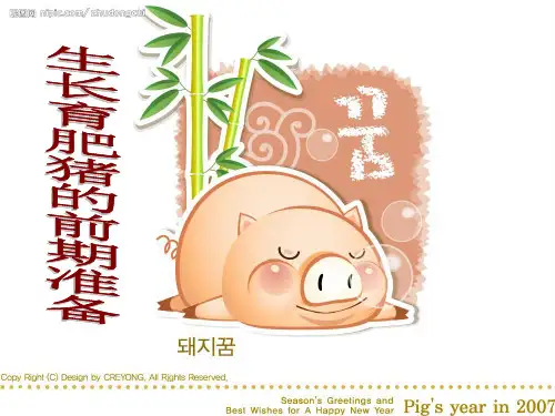 猪生产 PPT课件