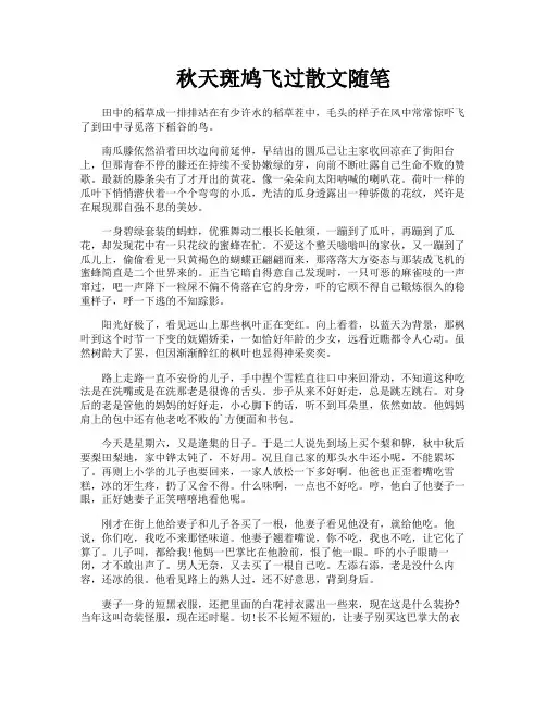 秋天斑鸠飞过散文随笔