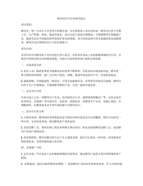 酵母项目可行性研究报告