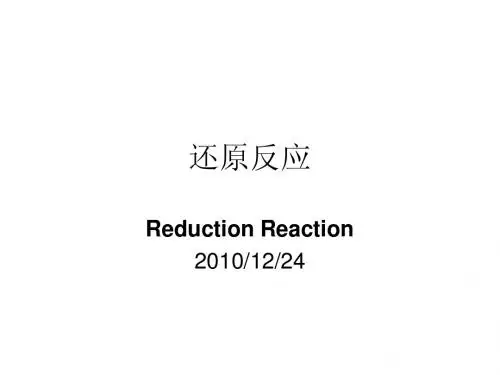 第七章 还原反应