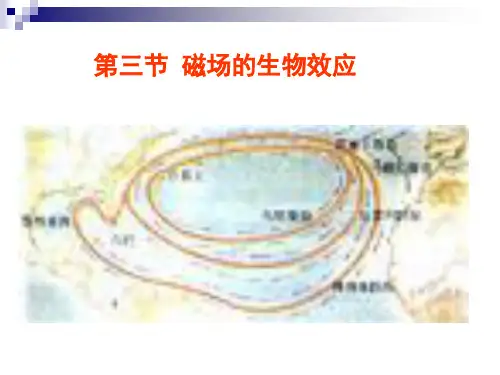各种类型磁场的生物效应