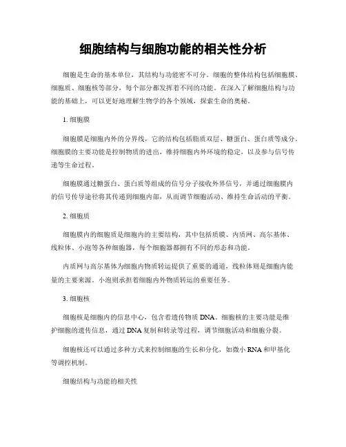 细胞结构与细胞功能的相关性分析