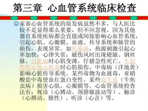 第三章  心血管系统检查
