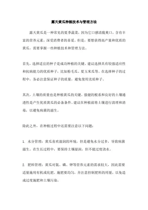 露天黄瓜种植技术与管理方法