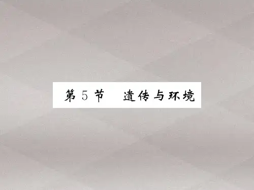 20.5 遗传与环境 2020秋北师大版八年级上册生物课件