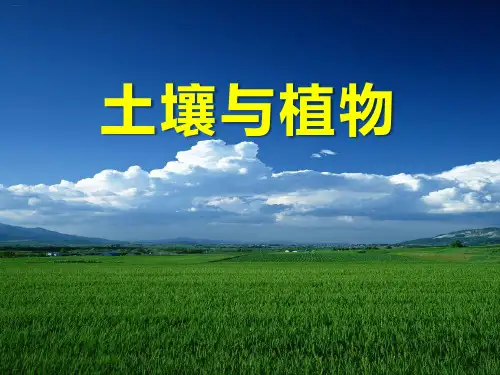《土壤与植物》PPT课件-完美版