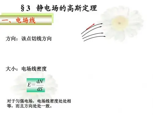 2电通量 高斯定理