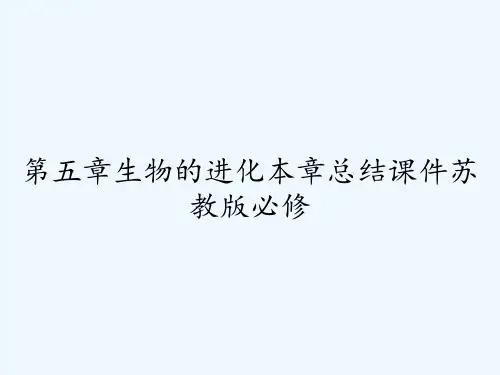 第五章生物的进化本章总结课件苏教版必修