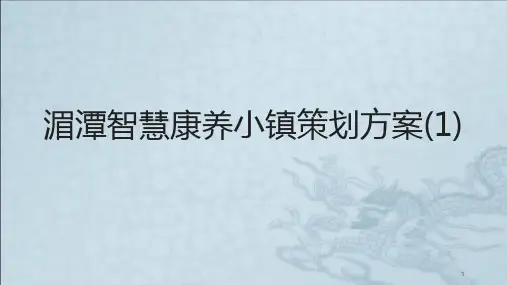 湄潭智慧康养小镇策划方案课件