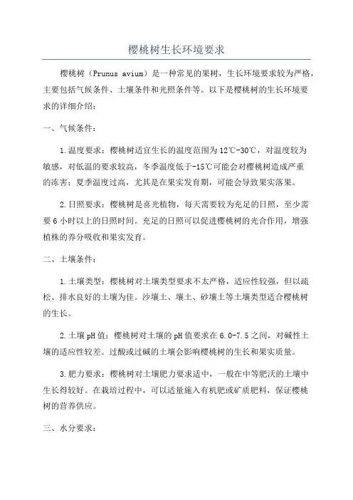 樱桃树生长环境要求