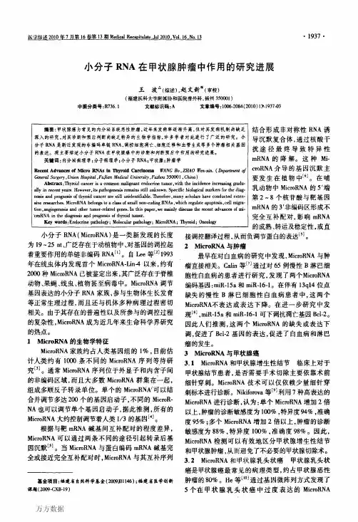 小分子RNA在甲状腺肿瘤中作用的研究进展