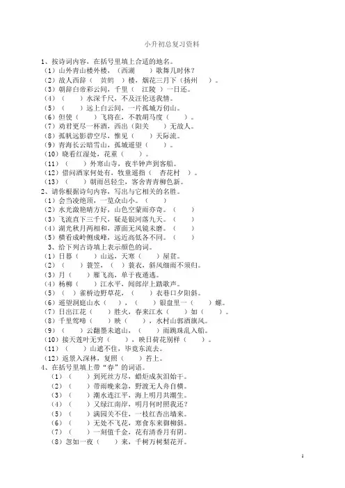 小升初语文总复习资料