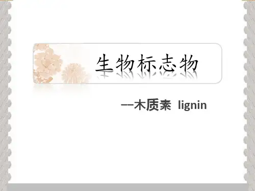 生物标志物