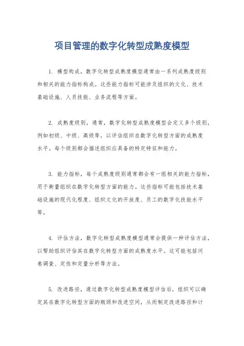 项目管理的数字化转型成熟度模型