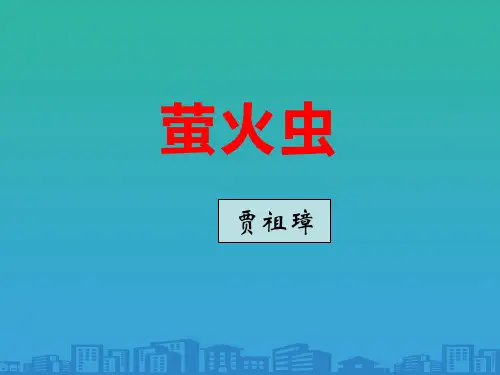 《萤火虫》PPT