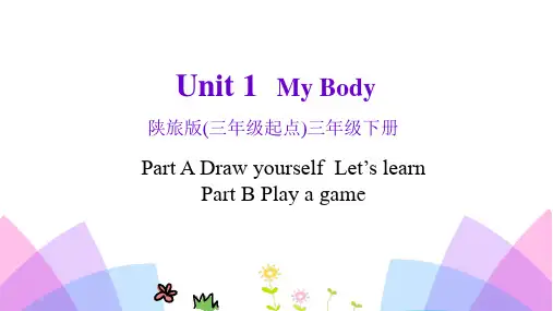 《My Body》PPT教学课件(第1课时)