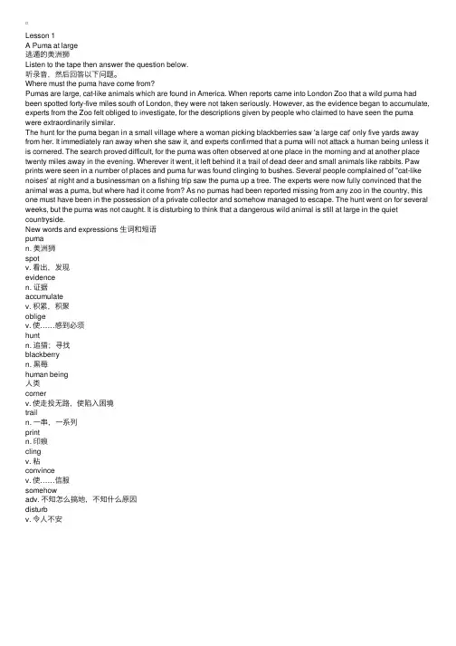 新概念英语第三册听力（美音版）APumaatlarge