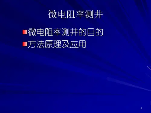 微电阻率测井及感应测井
