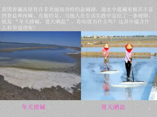 人教版初中化学九年级下册9.2 溶解度 课件(共17张ppt)最新课件PPT