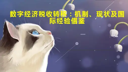 数字经济税收转移 机制 现状及国际经验借鉴