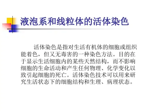 液泡系和线粒体的活体染色