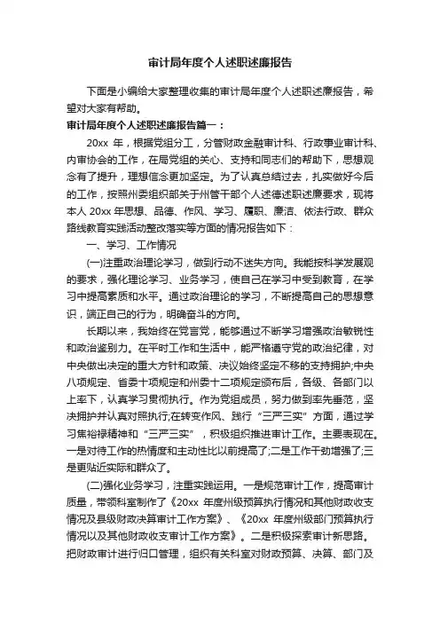 审计局年度个人述职述廉报告
