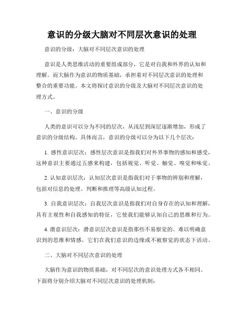 意识的分级大脑对不同层次意识的处理