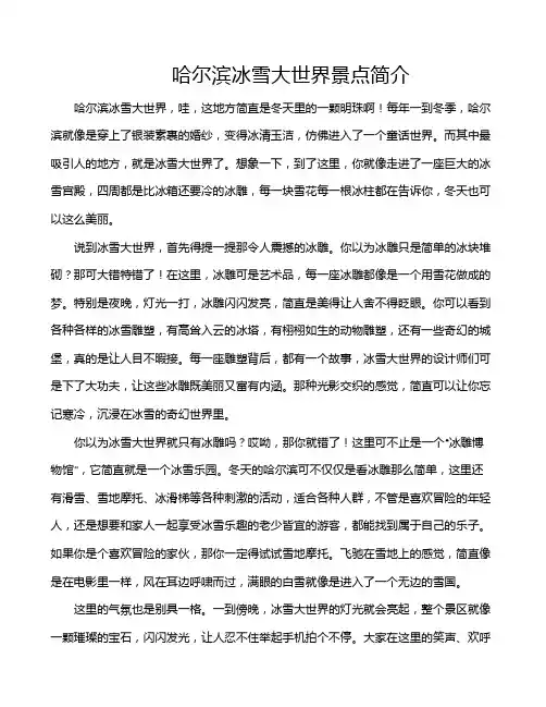 哈尔滨冰雪大世界景点简介