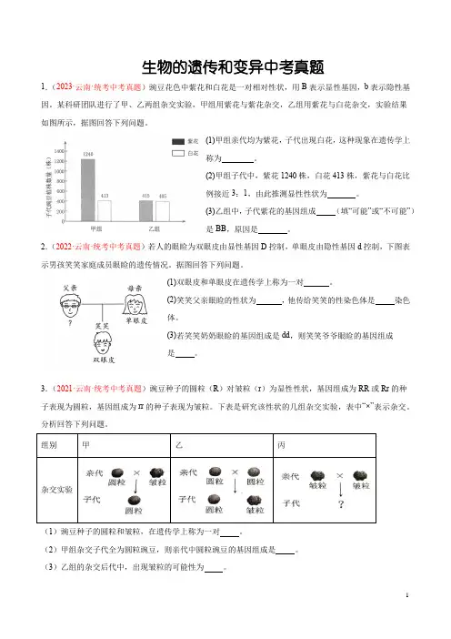中考真题  生物的遗传和变异