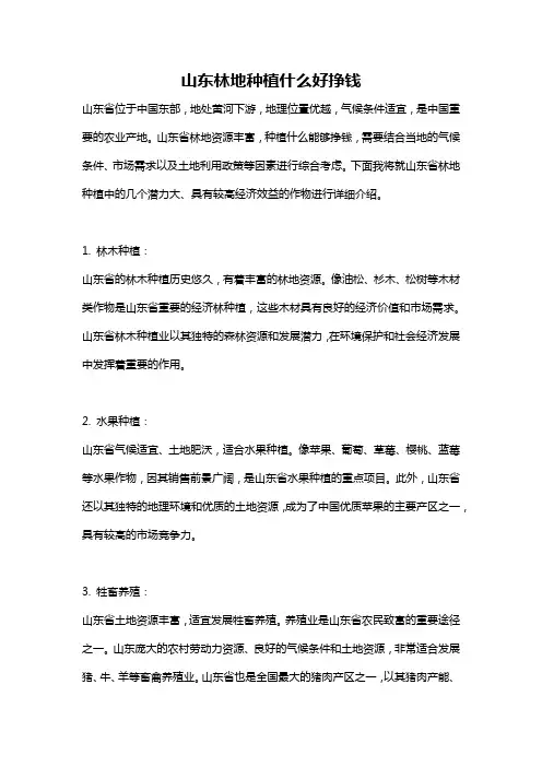 山东林地种植什么好挣钱