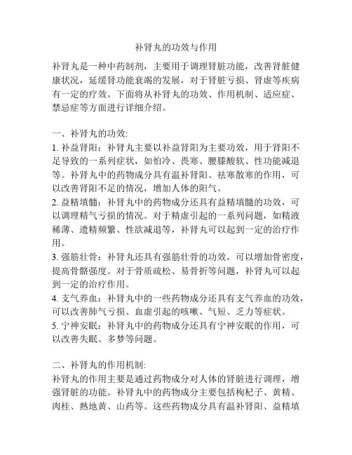 补肾丸的功效与作用