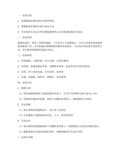 肠道杆菌的实验报告