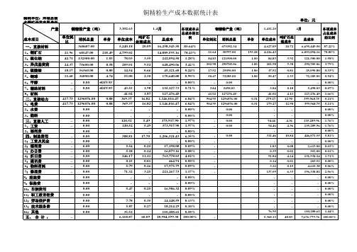 选矿车间成本计算表