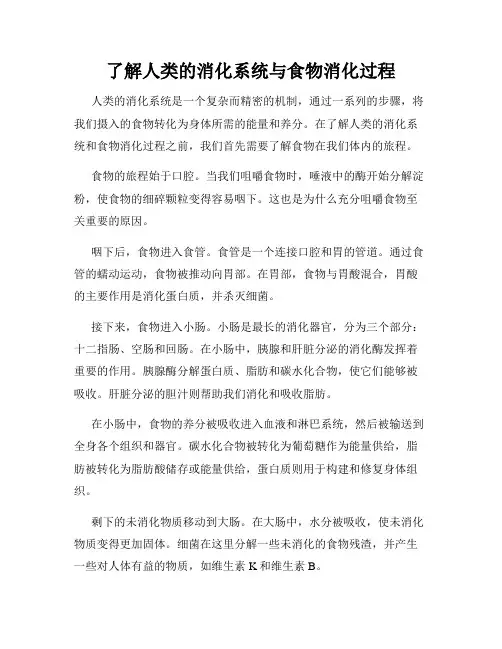 了解人类的消化系统与食物消化过程
