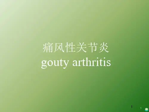 痛风性关节炎PPT课件