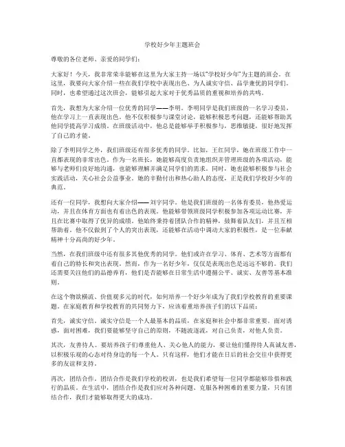 学校好少年主题班会