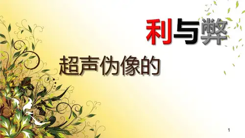 (优质医学)超声伪像的利与弊