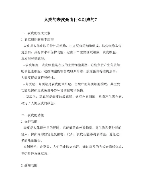 人类的表皮是由什么组成的？