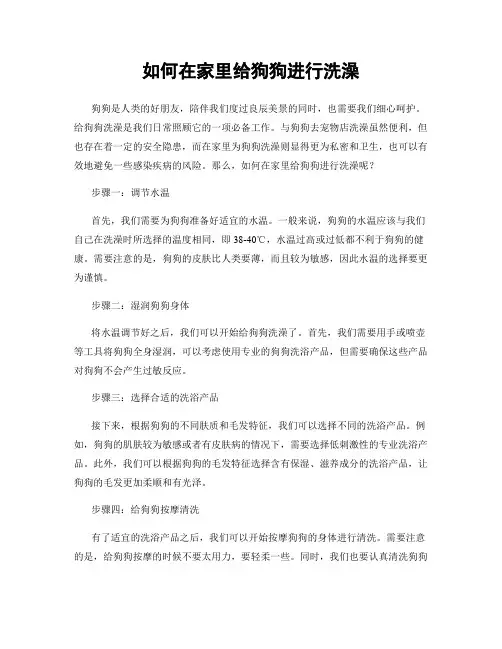 如何在家里给狗狗进行洗澡