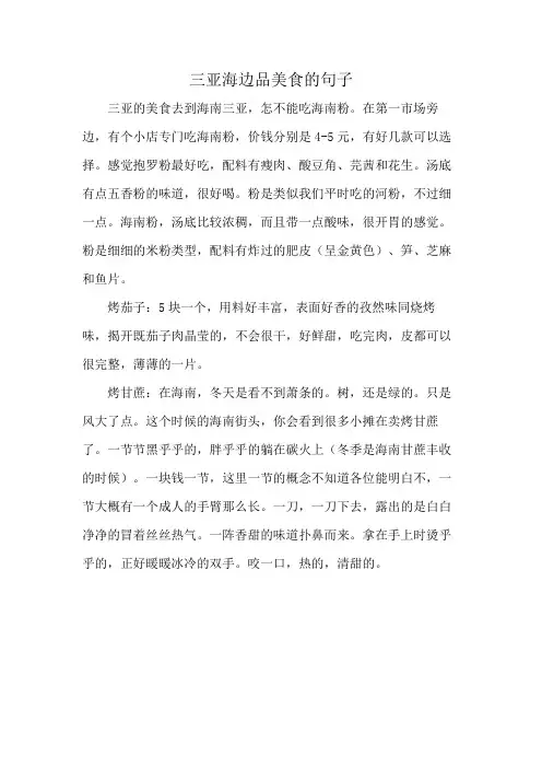 三亚海边品美食的句子