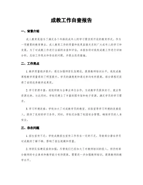 成教工作自查报告