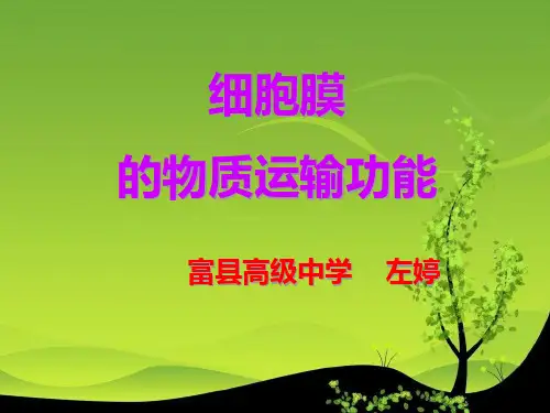 细胞膜的物质运输功能