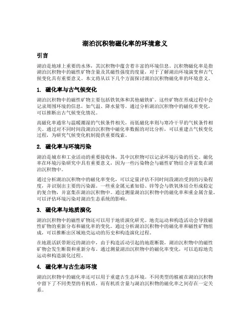 湖泊沉积物磁化率的环境意义