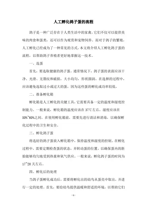 人工孵化鸽子蛋的流程