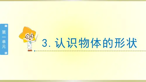 小学科学教科版一年级下册第一单元第3课《认识物体的形状》课件6
