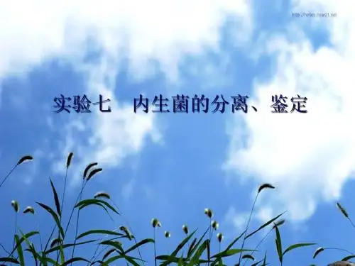 6实验六内生菌的分离