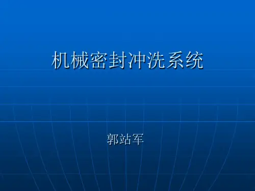 机械密封冲洗系统
